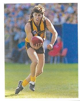 1993 Select AFL Stickers #151 Darrin Pritchard Front
